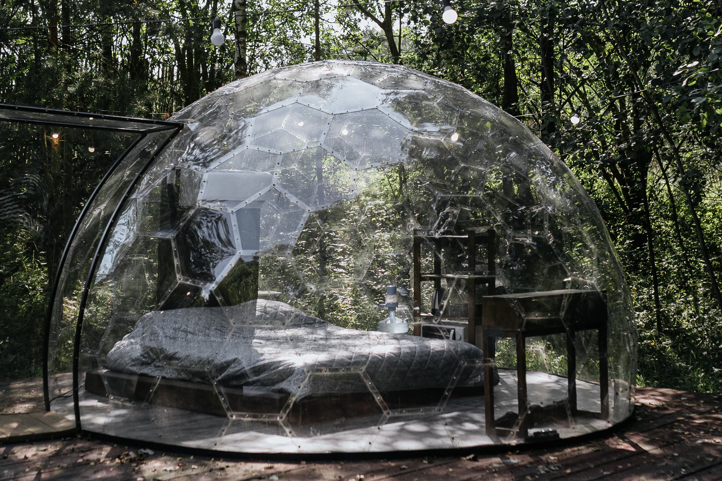 GEKSA в природе